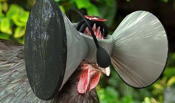 "Oculus Rift para galinhas" garante liberdade às aves por meio da RV