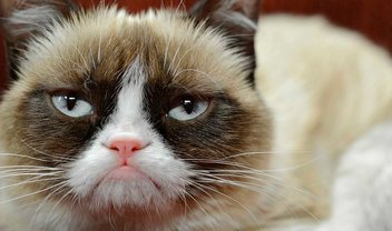 Grumpy Cat, a gata mal-humorada da internet, vai estrelar especial de Natal