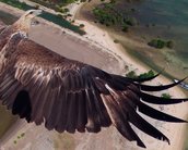 "Concurso fotográfico para drones" gera imagens incríveis