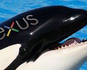 Detalhes do “Shamu”, suposto smartphone da Google e Motorola são vazados