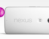 Google promete repor estoque de Nexus 6 na Play Store toda semana