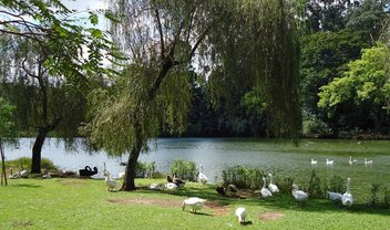 Instagram: Parque do Ibirapuera é o campeão de check-ins