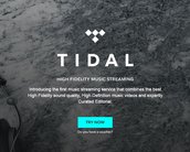 Jay-Z pode não conseguir comprar o serviço Tidal