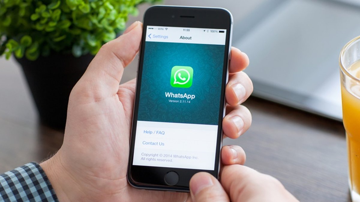 WhatsApp Videos Engraçados, Software