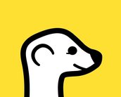 Nova febre social, Meerkat traz transmissões ao vivo para o Twitter