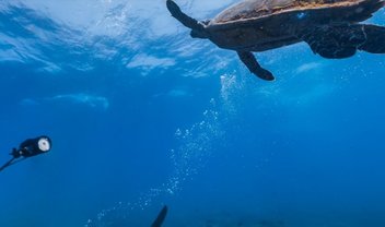 Já é possível 'nadar' em Fernando de Noronha com o Google Street View