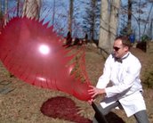 Experiência incrível do dia: veja balão gigante estourando em câmera lenta 