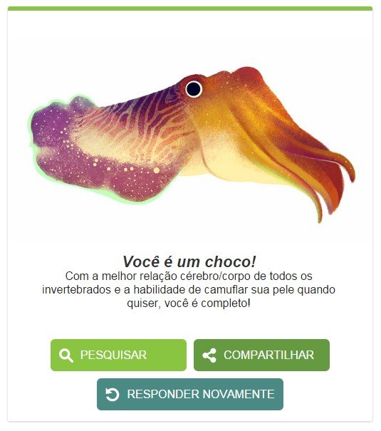 Dia da Terra: questionário do Google diz qual bicho você é