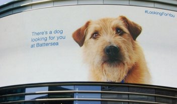 Cachorro digital segue pessoas em shopping para promover adoção de animais