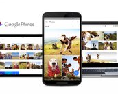 Como o Google Photos identifica (e diferencia) animais e objetos?