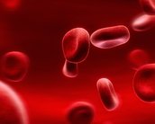 Sangue sintético será testado em humanos nos próximos dois anos