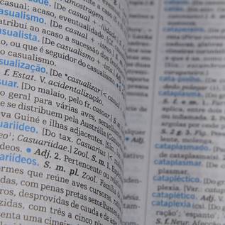 Imagem de Dicionário Michaelis altera a definição de uma palavra após petição online