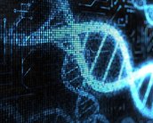 Futuro? Computadores de DNA vão processar softwares dentro do corpo humano