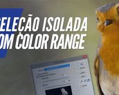 Videoaula: como fazer seleções isoladas com o Color Range no Photoshop