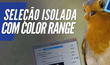 Videoaula: como fazer seleções isoladas com o Color Range no Photoshop