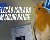 Videoaula: isole e troque cores no Color Range do Photoshop CC [vídeo]