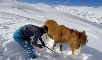 Com GoPro, jovem registra resgate emocionante de cavalo nas montanhas