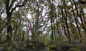 País onde 'O Senhor do Anéis' foi gravado entra no Google Street View; veja