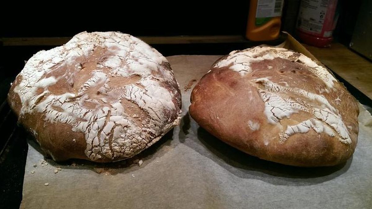 Blogueira prepara pão usando fungos de sua própria vagina - TecMundo