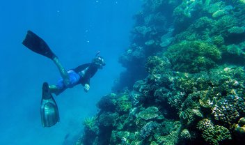 Fotógrafo do Nat Geo usa Lumias 950 para registrar Grande Barreira de Coral