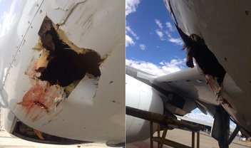 Veja o estrago que um pássaro pode causar ao colidir com um avião comercial