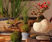 Air Bonsai: projeto japonês torna pequenas árvores em plantas flutuantes