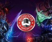 Big Gods vence Copa de Heroes of the Storm e segue para mundial na Coréia