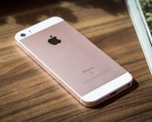 iPhone SE é homologado pela Anatel e já pode ser vendido no Brasil