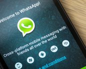 Fora do ar nunca mais! Ação contra o bloqueio do WhatsApp é movida no STF