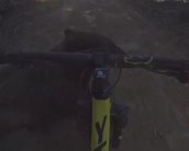 Ciclista atropela urso no meio da trilha e publica vídeo no Instagram