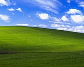 Famoso papel de parede do Windows XP completa 20 anos e Microsoft comemora