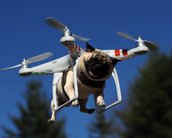 10 coisas malucas que as pessoas fizeram com seus drones