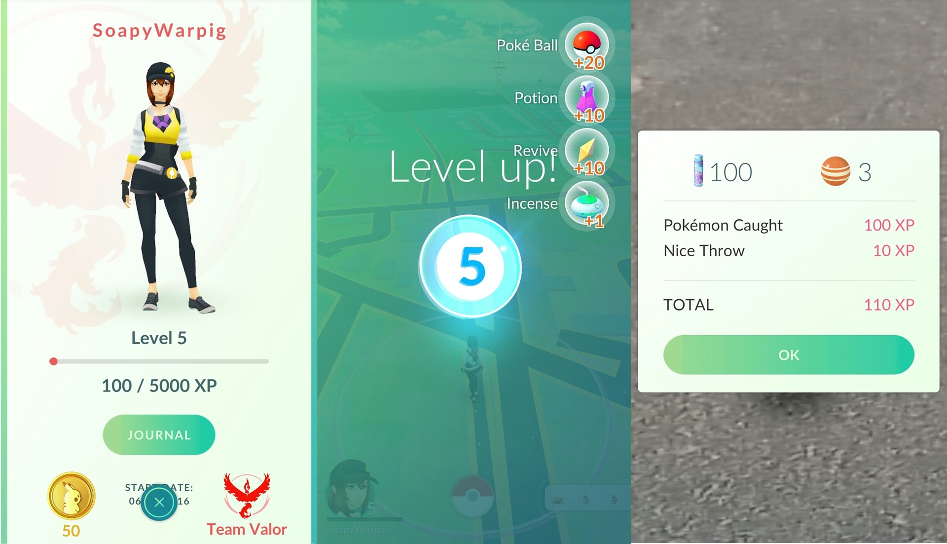 Confira 10 coisas que você DEFINITIVAMENTE precisa saber sobre Pokémon GO -  TecMundo