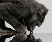 Corning anuncia Gorilla Glass SR+ para dispositivos vestíveis