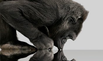 Corning anuncia Gorilla Glass SR+ para dispositivos vestíveis