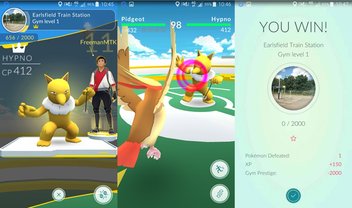 Site calcula suas chances derrotar donos de ginásios em Pokémon GO