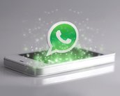 Usuários querem que as empresas usem o WhatsApp profissionalmente