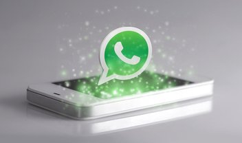 Usuários querem que as empresas usem o WhatsApp profissionalmente