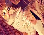 Pode comemorar! Prisma agora também conta com filtros para vídeos