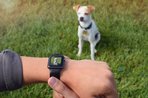 Imagem de CMRA: uma pulseira com câmera para o Apple Watch