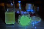 Imagem de Este biohacker está vendendo um kit para você fazer cerveja fluorescente