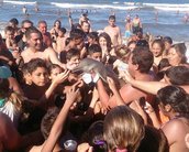 De novo? Relato diz que golfinho foi morto por turistas que tiravam selfies