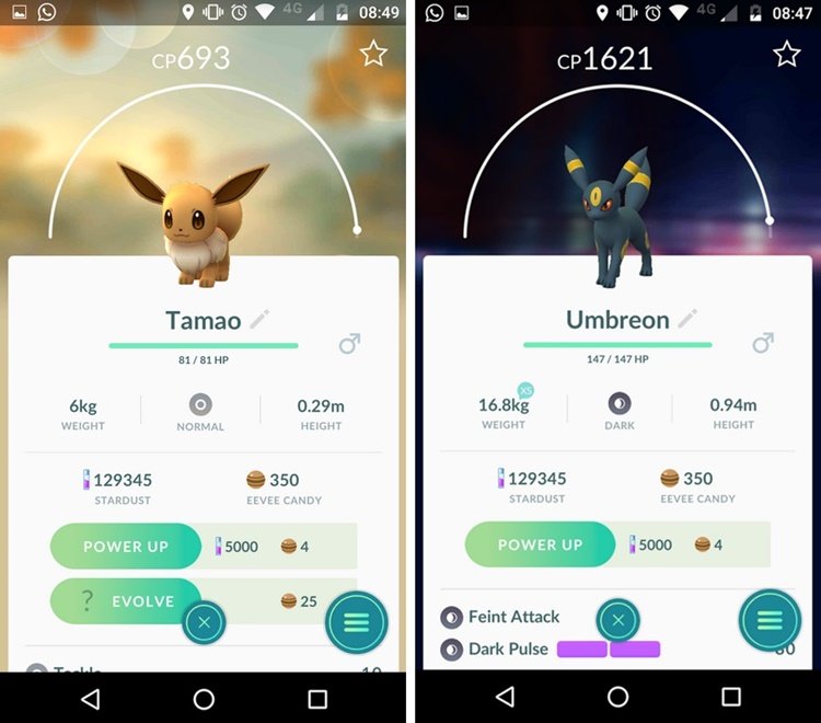 Como evoluir o Eevee para Umbreon e Espeon em Pokémon GO - Canaltech