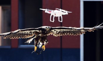 França está usando águias para se defender de drones invasores