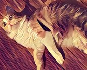 Prisma vai permitir que você treine o app para criar seus próprios filtros