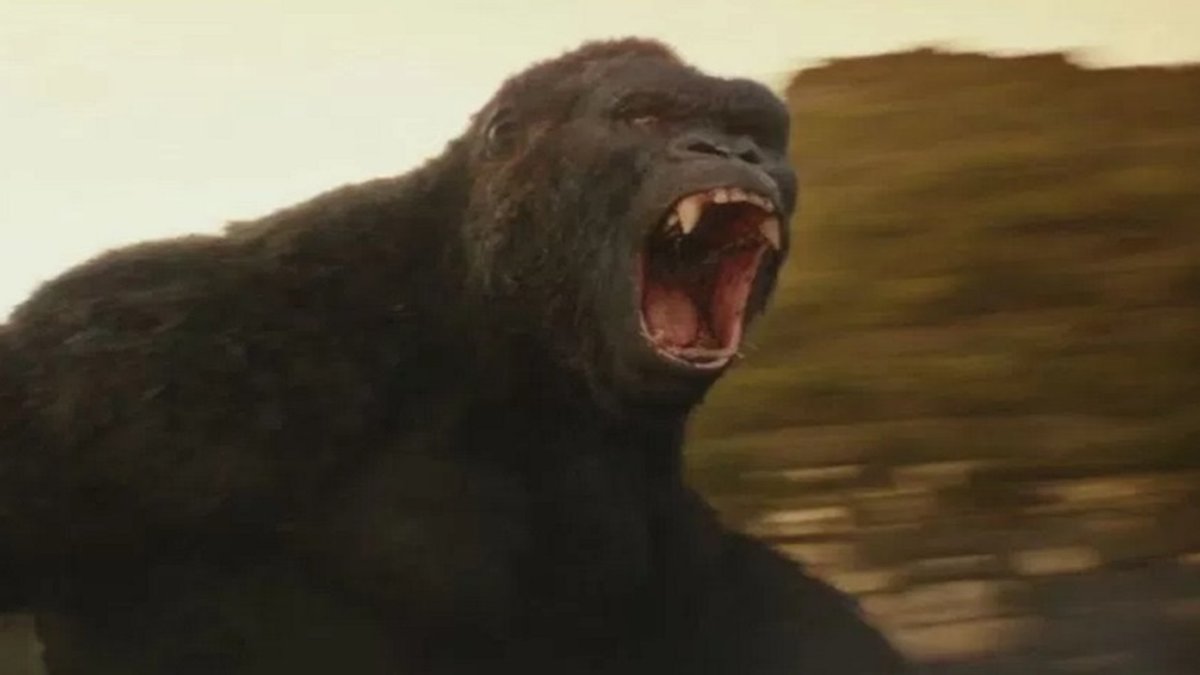 5 motivos para você assistir Kong: A Ilha da Caveira