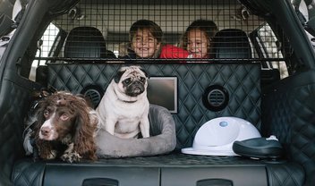 Nissan X-Trail 4Dogs: carro-conceito é ideal para levar cães para passear