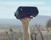 Avestruz aprende a voar em vídeo do novo Gear VR da Samsung