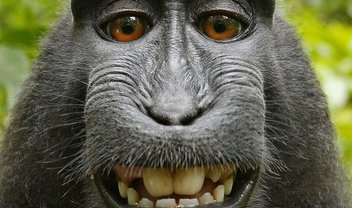 Uma selfie de macaco pode ajudar os robôs a garantir seus direitos autorais