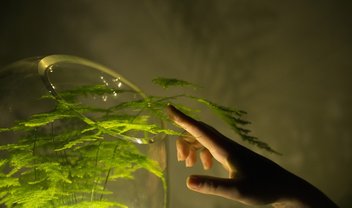 Energia verde: plantas se tornam baterias vivas em projeto de designer